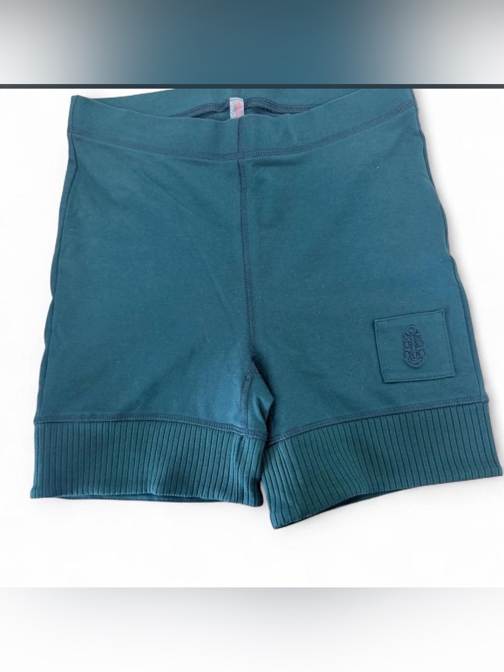 Free People Teal Bike Shorts